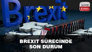 İngiliz parlamentosunda kritik Brexit oylamasını muhalefet kazandı