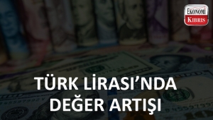 Türk Lirası'nda değer artışı..