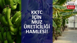 Başbakan Ersin Tatar'dan KKTC'de muz üretimini geliştirme mesajı!