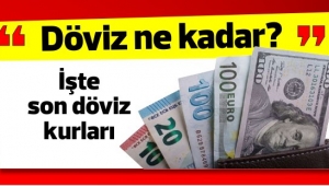 4 Kasım 2019 Döviz Kurlarında son durum