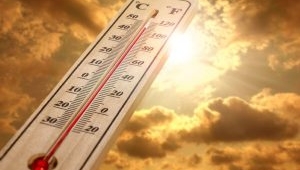 Dünya tarihinin en sıcak sonbaharı yaşanıyor.İşte detaylar...