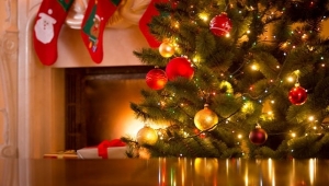 Güvenli Yılbaşı Alışverişi için 12 uyarı. İşte detaylar...