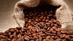 Kahve atıklarından otomobil parçası üretilecek. İşte detaylar...