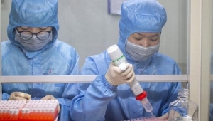 Koronavirüsün adı değişti! İşte detaylar...