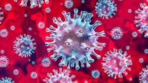 Bilim insanlarından korkutan Covid-19 açıklaması! İşte detaylar...