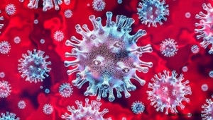 Dünya genelinde vaka sayısı 786 bini ölü sayısı 37 bini geçti! İşte detaylar...