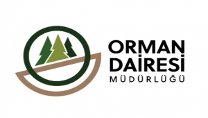 Sürücüler dikkat! İşte detaylar...