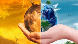 Tüm dünya evine çekildi, doğa kendine geldi! İşte detaylar...