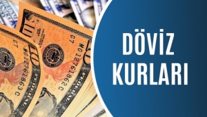 1 Haziran 2020 Pazartesi güncel döviz kurları! İşte detaylar...