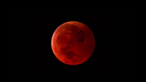 Gökyüzünde görsel şölen yaşanacak!