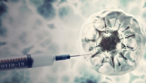 BioNTech ve Sinovac Aşılarının Oluşturduğu Antikor Miktarı Belli Oldu! İşte detaylar...