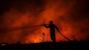 Yangınlarla Boğuşan Türkiye İçin 'Global Çapta Yardım Çağrısı' Başlatıldı! İşte detaylar...