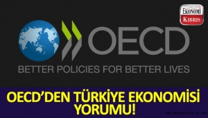 OECD, Türkiye büyüme tahminini yükseltti! İşte detaylar...
