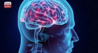 Bilim insanları açıkladı: Anılar beyinde nasıl oluşur?