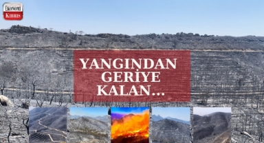 Kuzey Kıbrıs ormanları kül oldu!