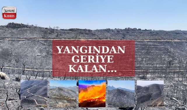 Kuzey Kıbrıs ormanları kül oldu!