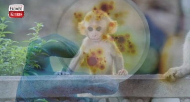 AB'den maymun çiçeği aşısına satış izni! İşte detaylar...