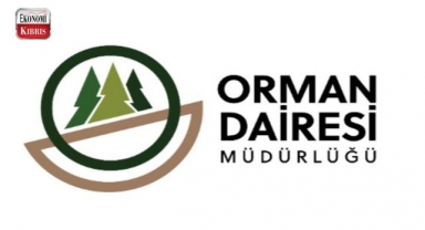 KKTC Orman Dairesi Müdürlüğü'nden uyarı! İşte detaylar...