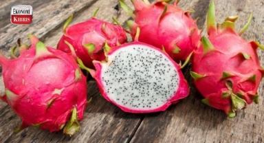 Ejder Meyvesi Nedir, Faydaları Nelerdir?