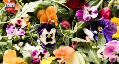 Sonbaharı renklendiren 10 favori çiçek.