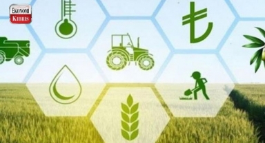 “Kırsal Kalkınma İhtiyaç Analizi Köy Toplantıları” başlıyor! İşte detaylar...