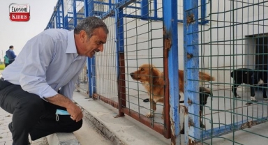  Süleyman Uluçay; ''Çiçekler yerine mama gönderin''! İşte detaylar...