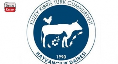 Tarım ve Doğal Kaynaklar Bakanlığı Hayvancılık Dairesi'nden önemli duyuru! İşte detaylar...