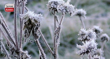 Üç gün boyunca don olayı yaşanması bekleniyor! İşte detaylar...