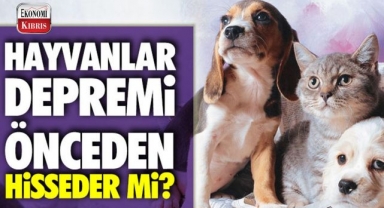 Hayvanlar depremleri önceden sezebilir mi? 