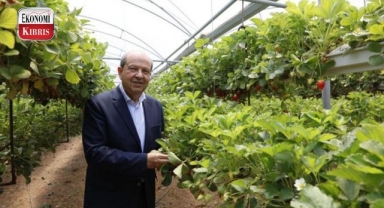 Cumhurbaşkanı Ersin Tatar, ''Ülkemizin batı bölgesindeki çalışmalar ve sıkıntılara yönelik alınan tedbirler sürecektir''! İşte detaylar...