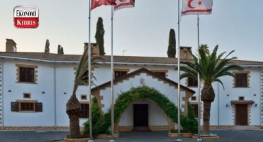 Cumhurbaşkanlığı Basın Bürosu: Cumhurbaşkanı Tatar, her zaman olduğu gibi Anayasa’nın kurallarına bağlıdır! İşte detaylar...