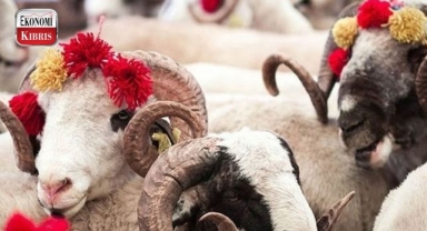 Kurban Bayramı yarın başlıyor! İşte detaylar...