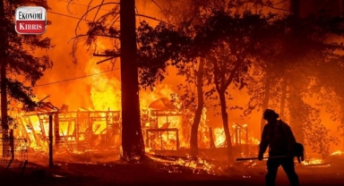 Orman Dairesi “kırmızı alarm” durumuna geçti! İşte detaylar...