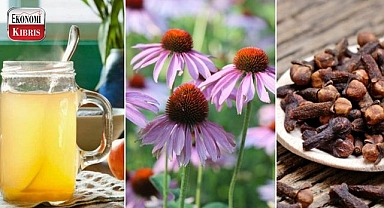 Kendinizi Daha İyi Hissetmenizi Sağlayacak 8 Doğal Antibiyotik.