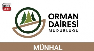 KKTC Orman Dairesi Müdürlüğü münhal duyurusu - Kıbrıs iş ilanları