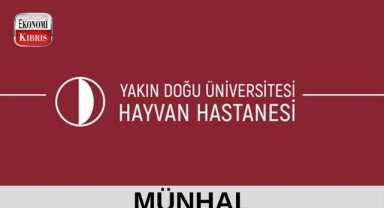 Yakın Doğu Üniversitesi Hayvan Hastanesi münhal duyurusu - Kıbrıs iş ilanları