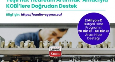 Yeşil Hat ticaretini artırmak için hibe programı başlatıldı! İşte detaylar...