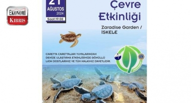 Bugün caretta carettalar denize bırakılıyor! İşte detaylar...
