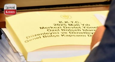 Cumhurbaşkanlığı bütçesi komitede oy çokluğuyla kabul edildi! İşte detaylar...