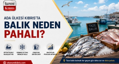 Ada ülkesi Kıbrıs'ta balık neden pahalı?