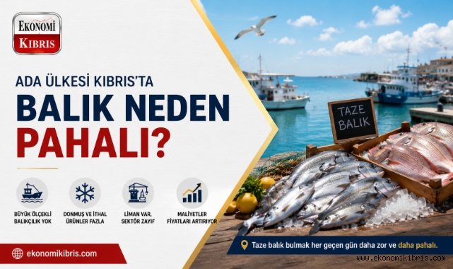 Ada ülkesi Kıbrıs'ta balık neden pahalı?